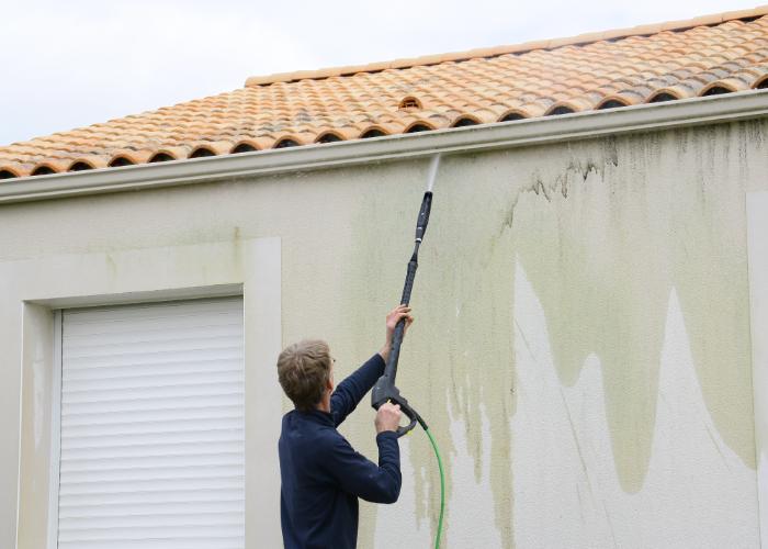gutter cleaning Venice